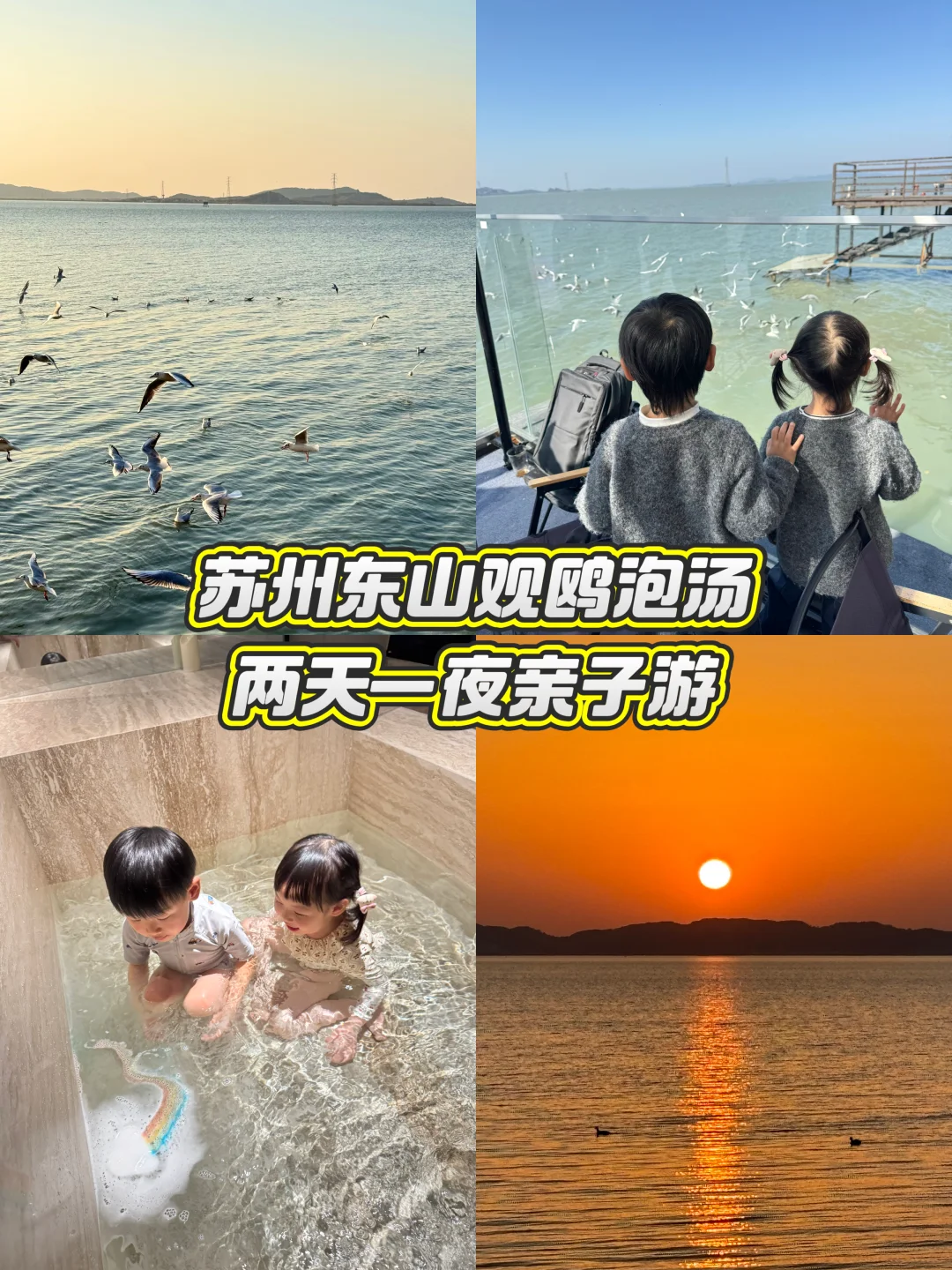 江浙沪遛娃｜两天一夜观鸥私汤民宿体验