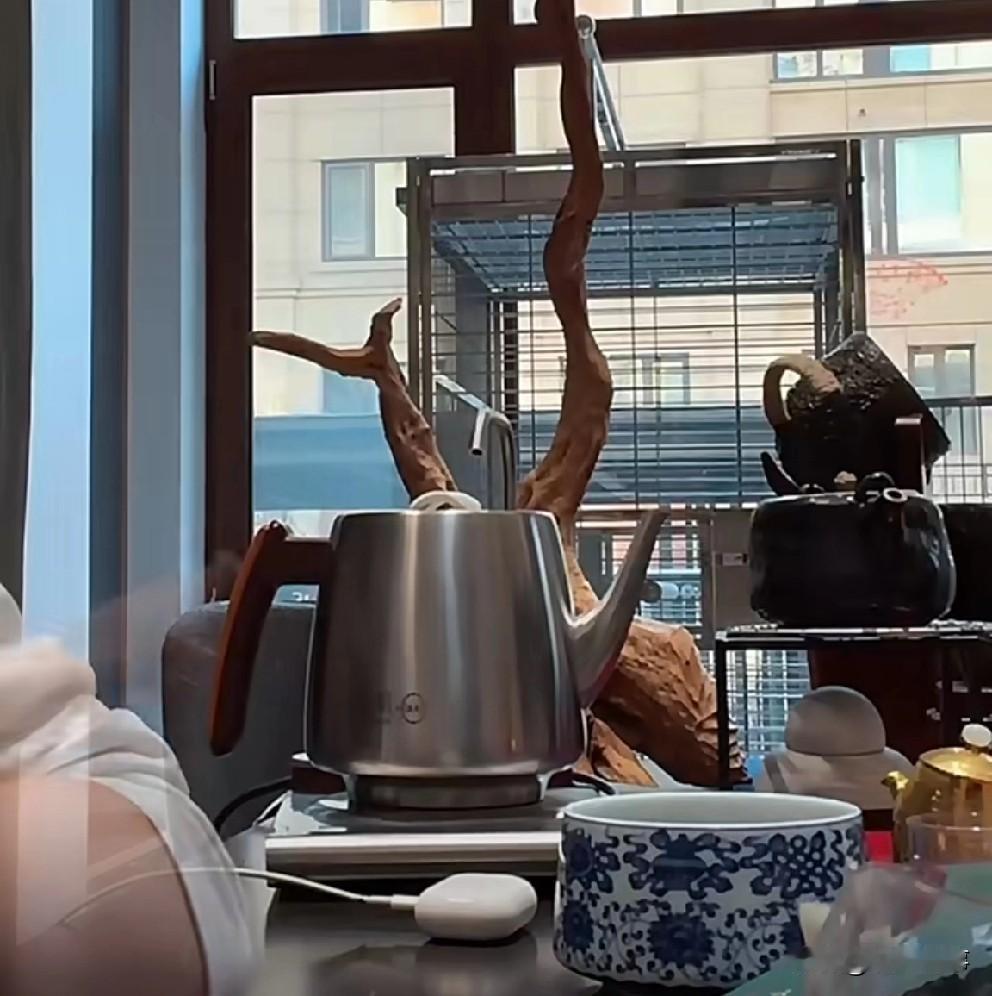 T佑坦言互联网再不好做也比现实打工强！

            早在2020年