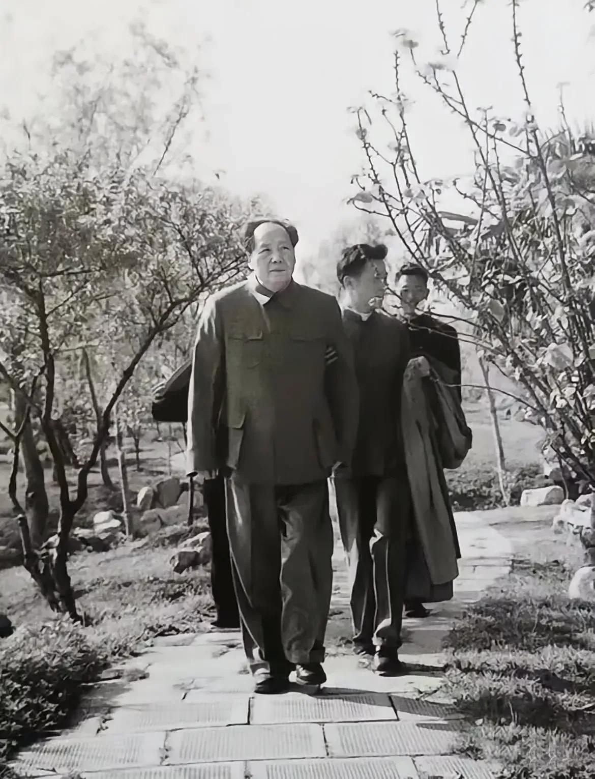 “春江浩荡暂徘徊，又踏层峰望眼开。”是毛主席1955年.《七律·和周世钊同志》中