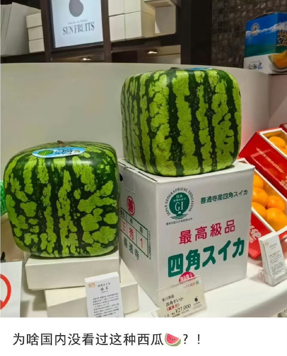 不就是套个模具吗，我小学时就见过了 