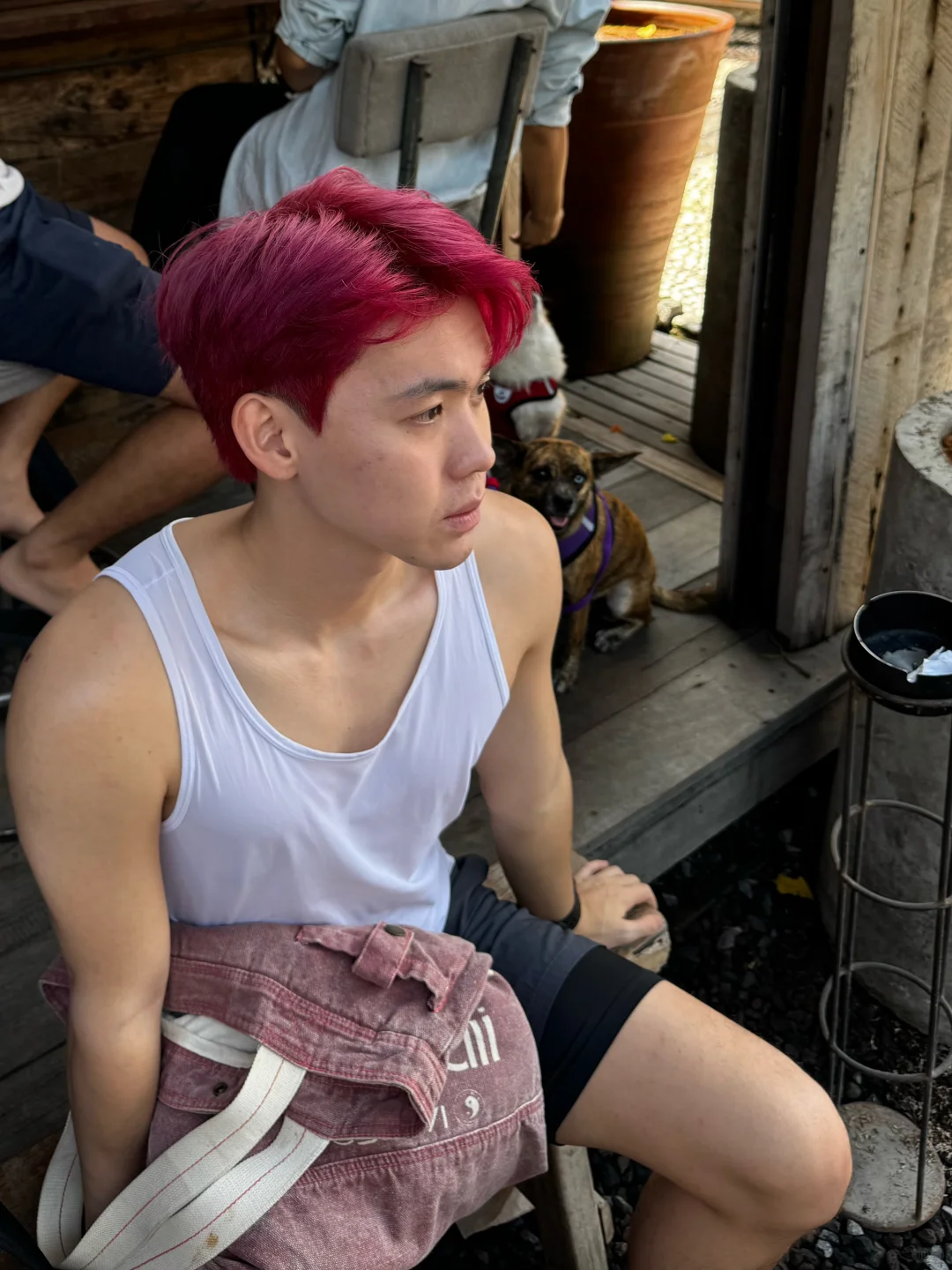 🇲🇾ENFP 快乐小狗