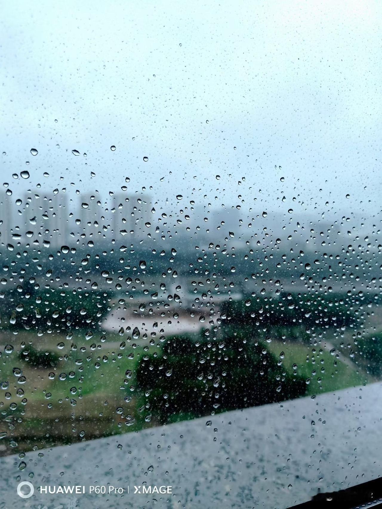 喜欢雨下的日子
简单随意
愿意雨中漫步
任它打湿衣衫
淋得浑身通透
更喜欢下雨的