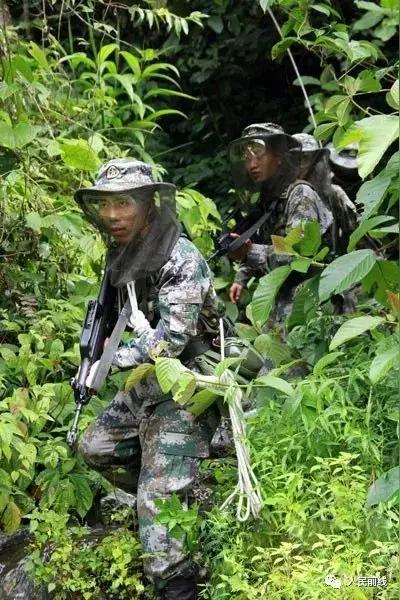 海拔4700米雪山惊现活蚊子，零下5℃冻不死！
 
🔥事件现场直击
 
事件时