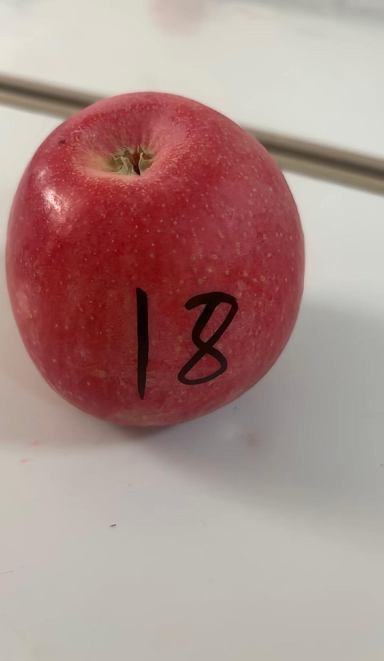 苹果18全款拿下，没分期的必要，又不是没那个实力！