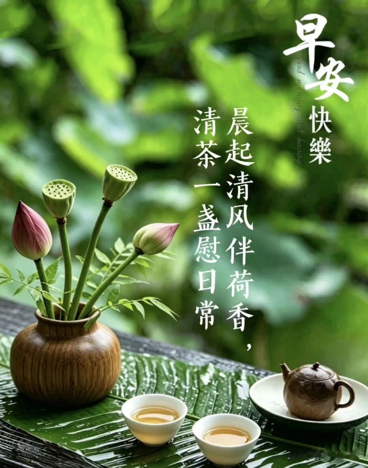 🌼🍃²⁰²⁶/₀₅.₂₇ᵕ̈ᵕ̈ 周三.早安🌸☕️
周三，一周的中场，不必