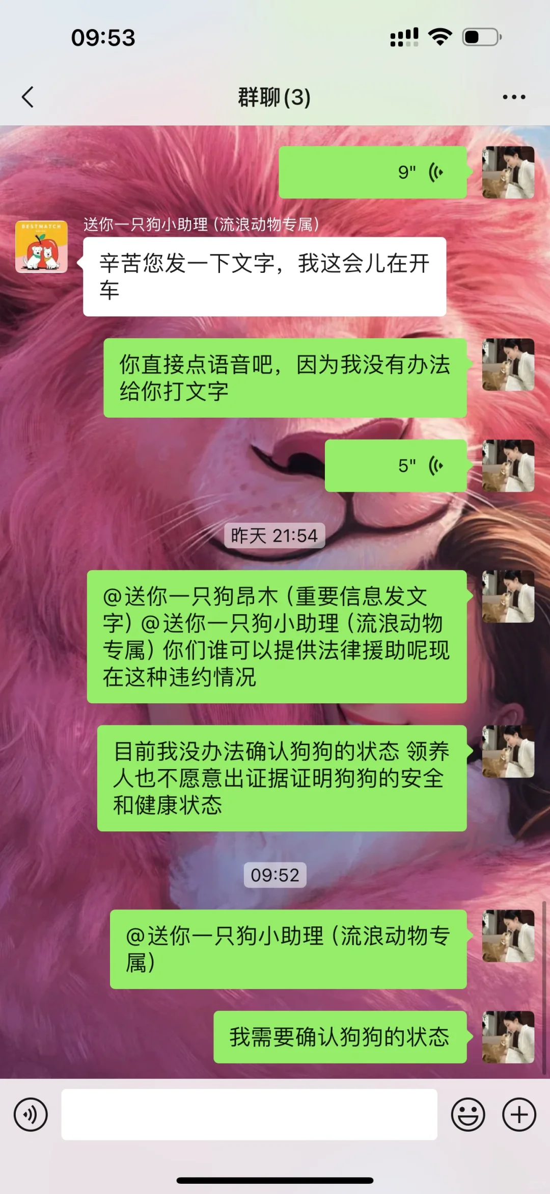 送你一只狗把狗弄丢了
