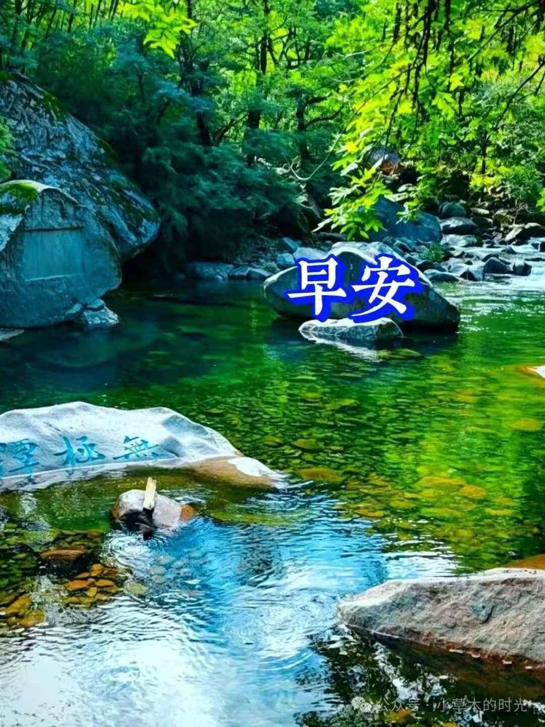 分享图片 