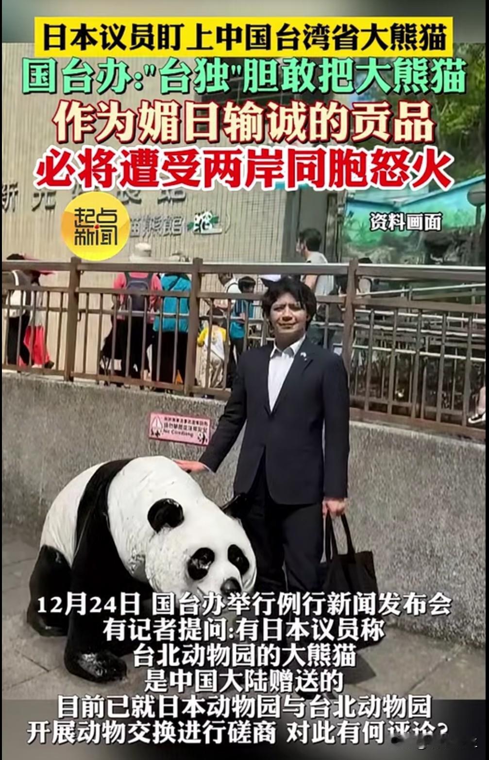 日本企图染指台湾的大熊猫，国台办强硬表态："胆敢作为媚日输诚的贡品，必遭两岸同胞