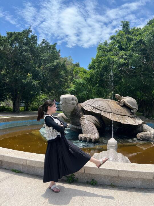 来南澳！！别错过这个乌龟🐢打卡点…