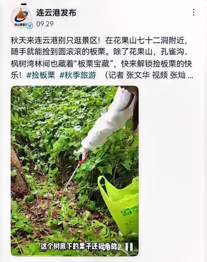 连云港文旅努力的宣传白费了！
连云港官方媒体宣传“在花果山七十二洞附近随手就能捡