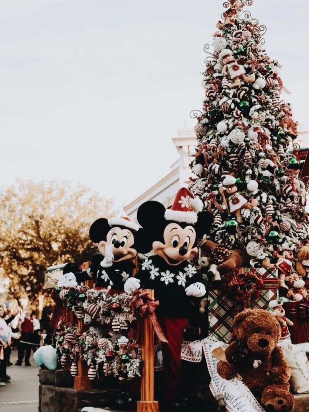 巴黎迪士尼 | 法国人的童心点燃了圣诞节🎄