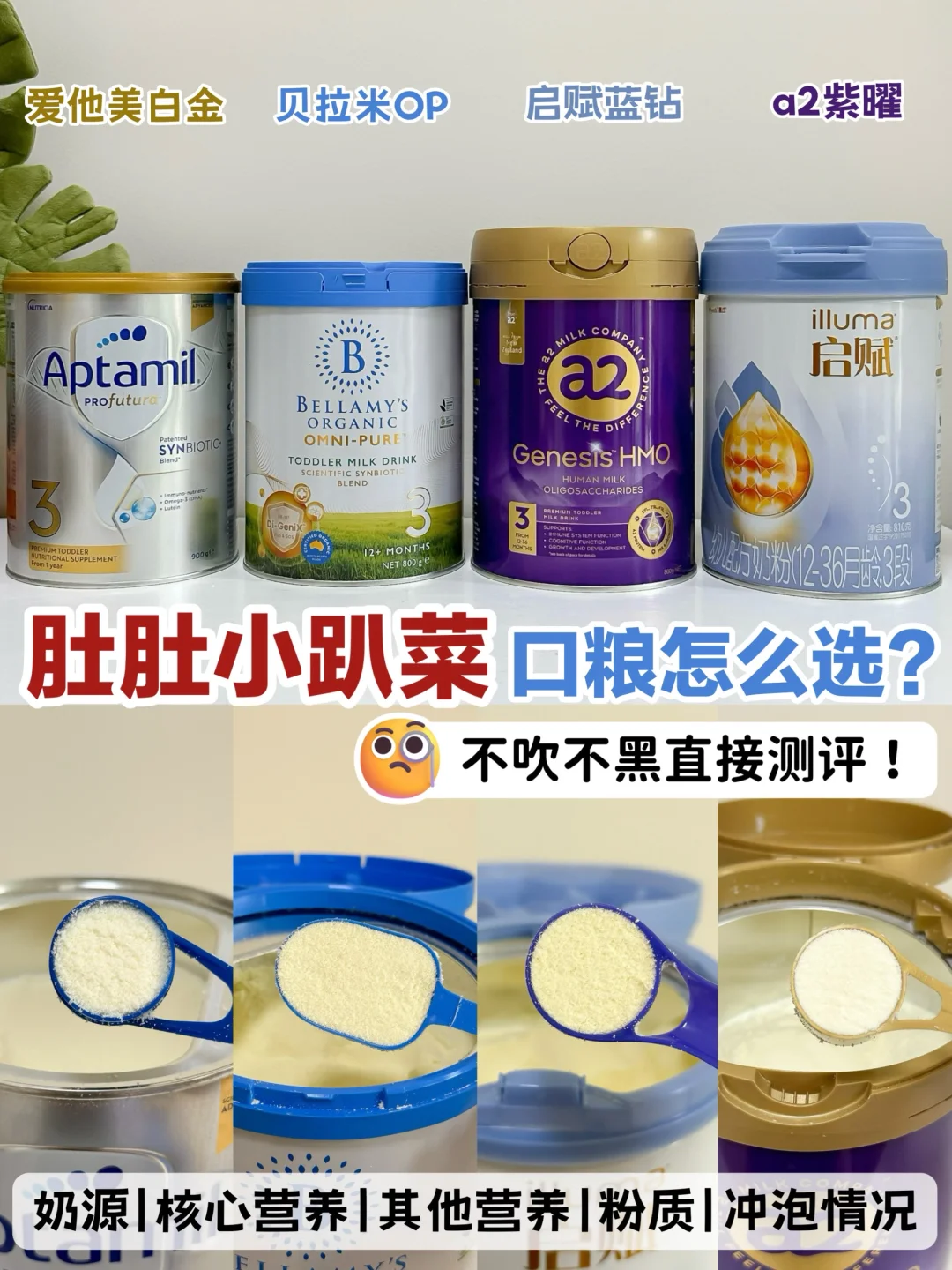 玻璃肚宝宝如何选奶？别着急看完这篇再决定