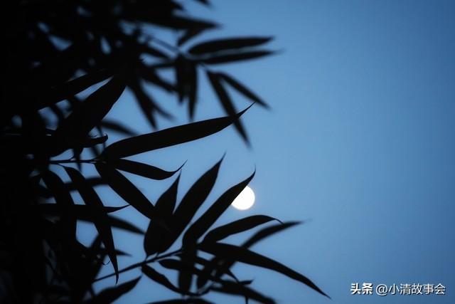 看到“竹影清风摇月色”这个上联，瞬间来了兴致。这上联营造出一种清幽雅致的意境，竹