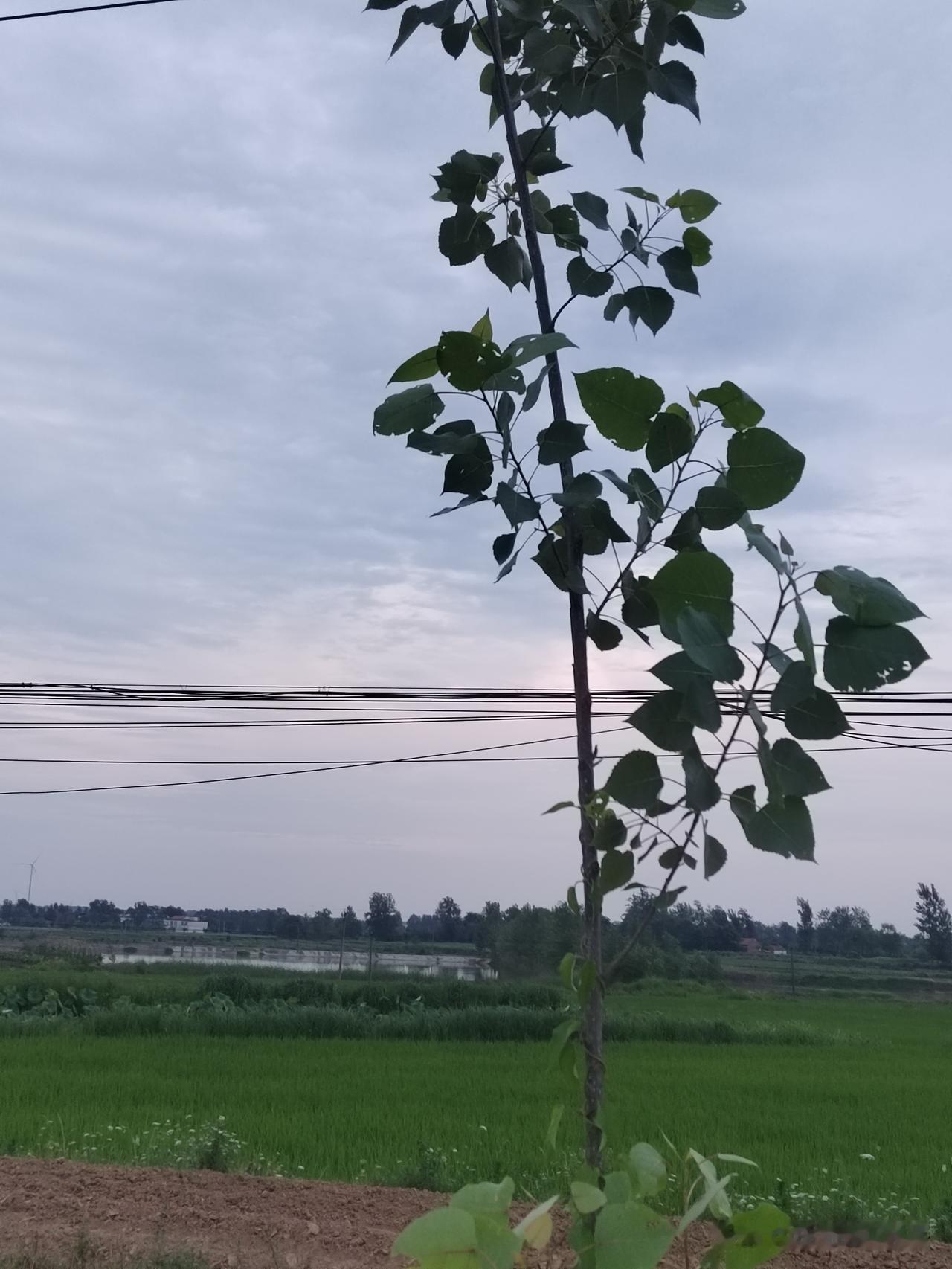 少辩解，便是聚运
你每一次刻意向外解释自己，自身运势就损耗一分。
你自以为在摆事