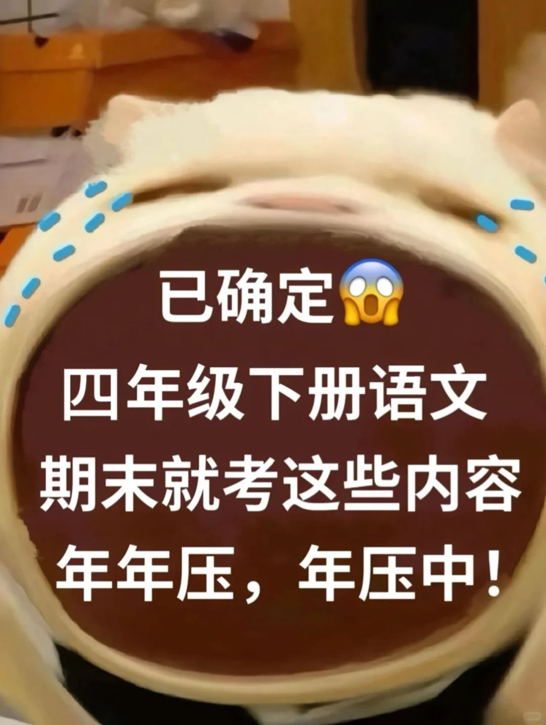 赶紧存🔥四年级语文期末复习重点全在这