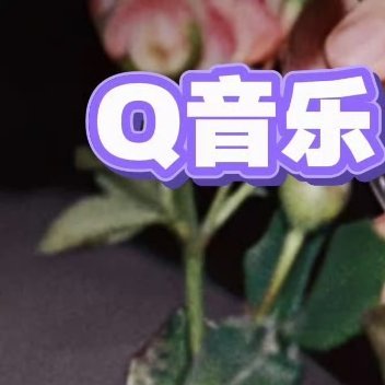 像初春的风轻轻拂过枝头，带来第一抹新绿的讯息；像清晨的露悄悄落在叶尖，映着微光闪