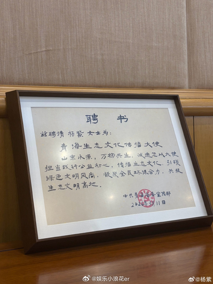 杨紫被聘为青海生态文化传播大使 杨紫晒青海生态文化传播大使聘请书：“能用自己微薄