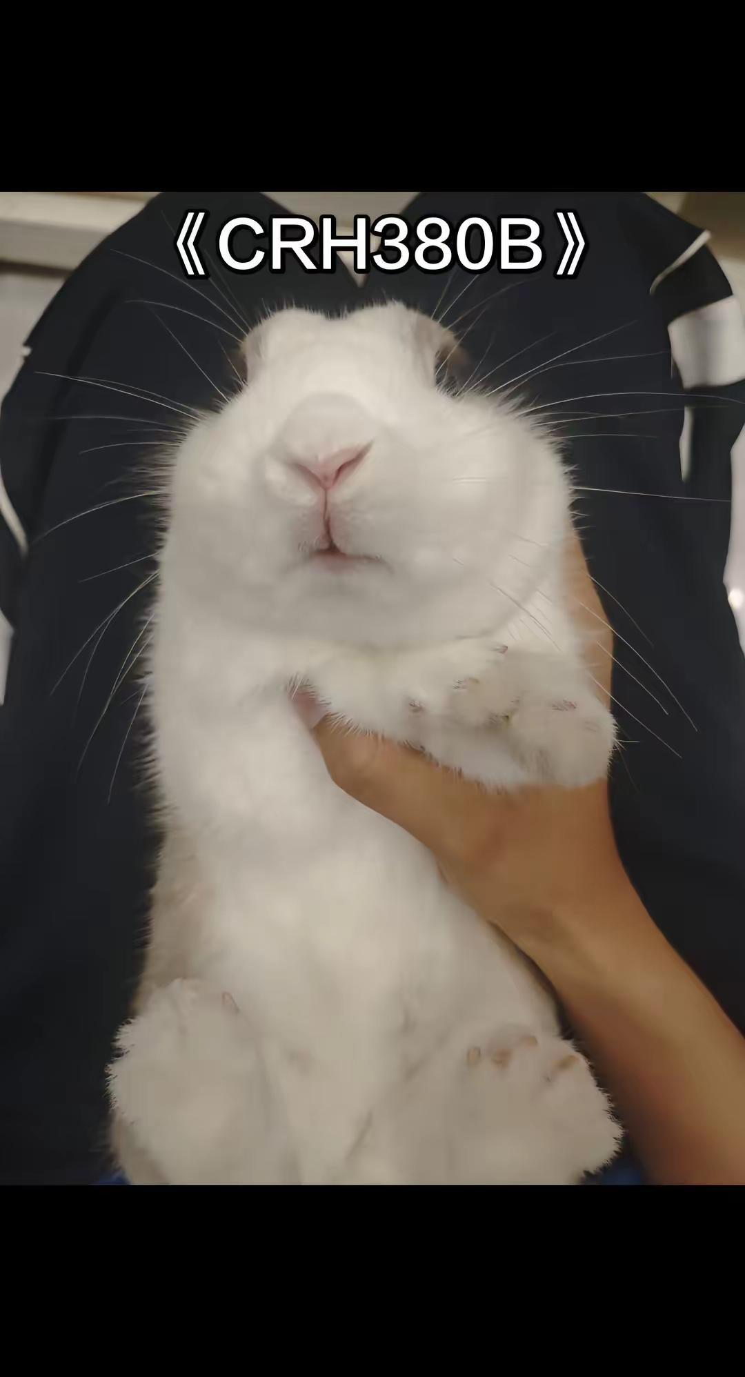 兄弟们也是终于得吃380B了
