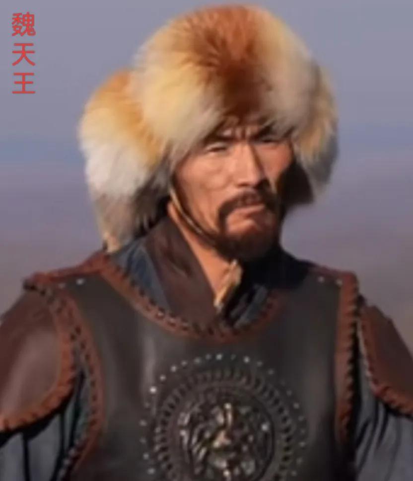 魏天王，是西魏末年的一位氐族起义领袖，他是固道（今甘肃徽县东北）的氐族人。

西