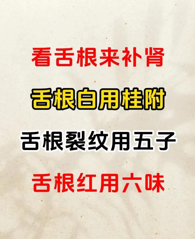 看舌根来补肾，舌根白用桂附，舌根裂纹用五子，舌根红用六味#中医健康##中医健康#