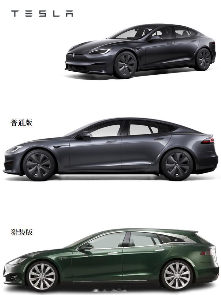 特斯拉Model S猎跑版 特斯拉Model S猎跑版，大家觉得这个姿态如何[举