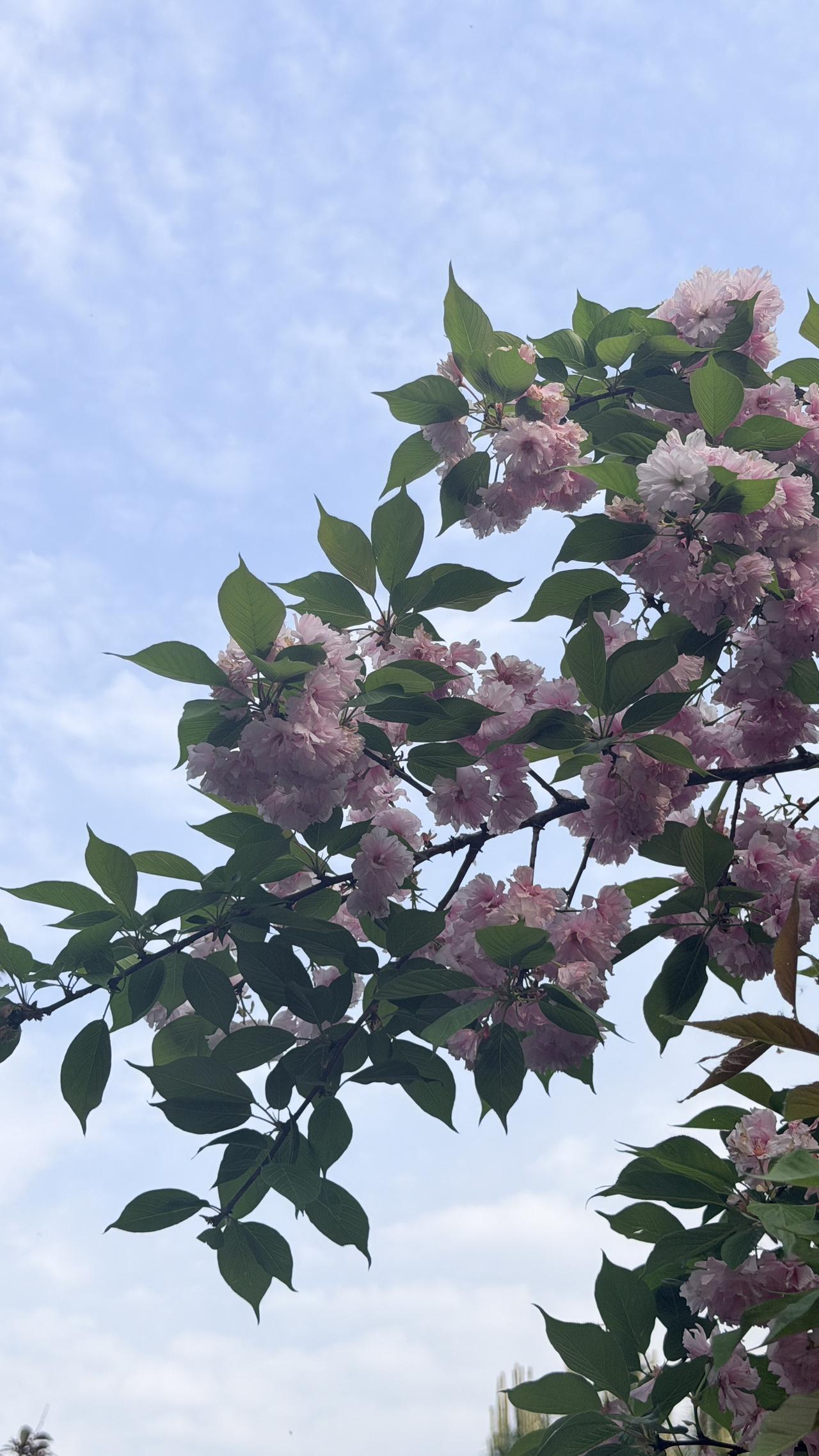 我的今日状态：🏝️旅行度假
我这里的天气：🌤️多云