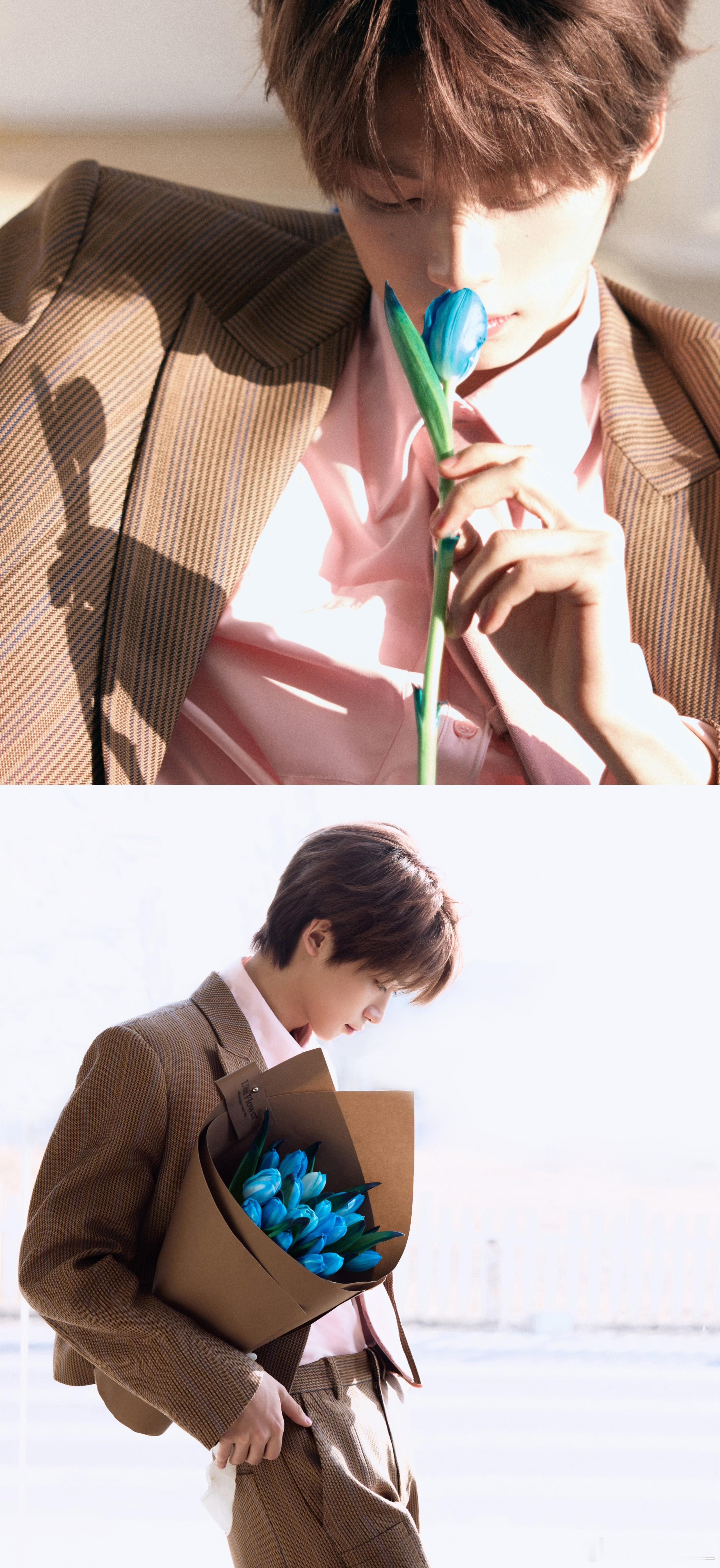 梓渝 × 情人节营业大片💌花香、阳光，粉色衬衣搭配条纹西装，浪漫粉调，甜蜜温柔