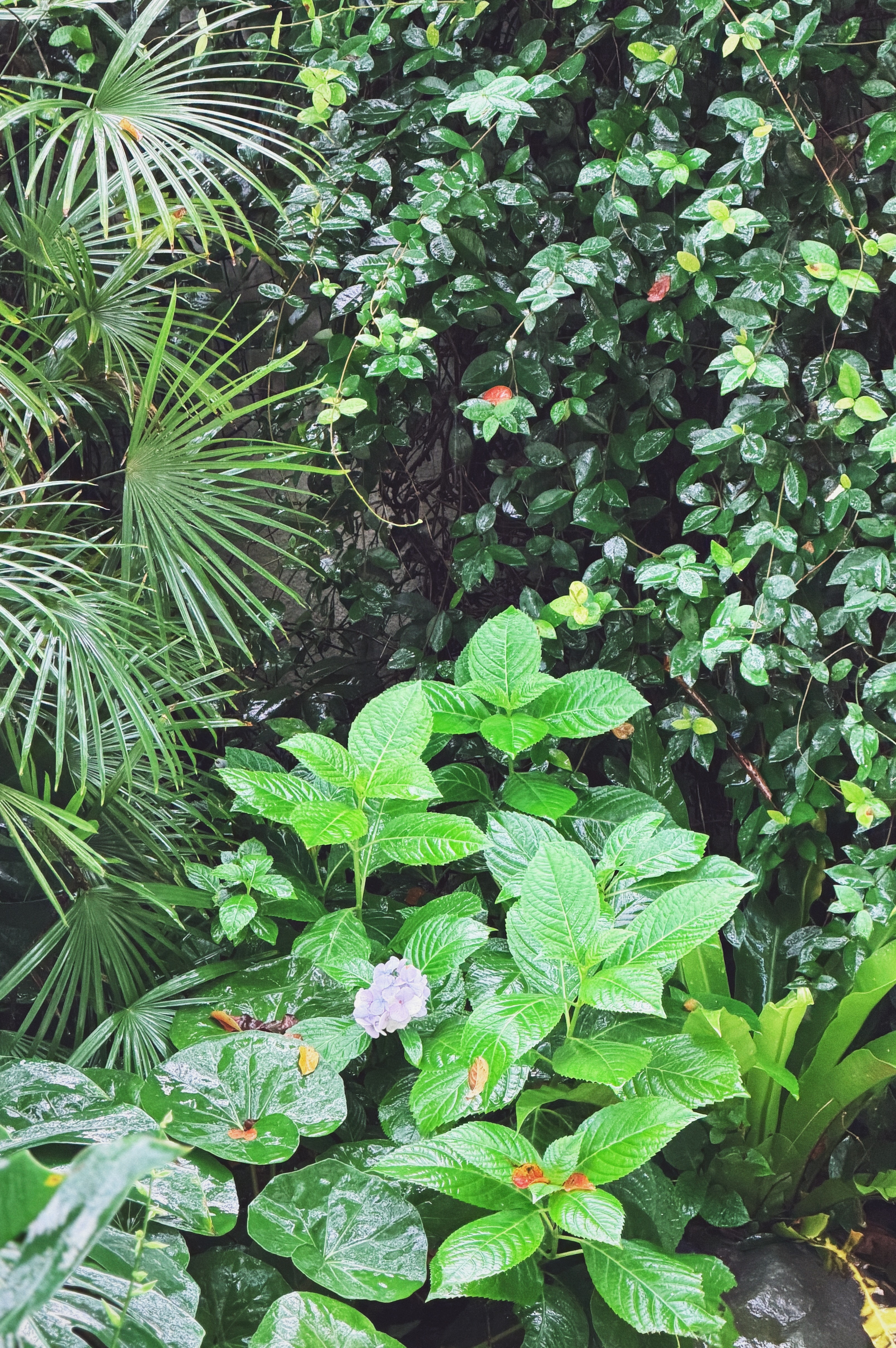 台风天🌀，以及：运动达人