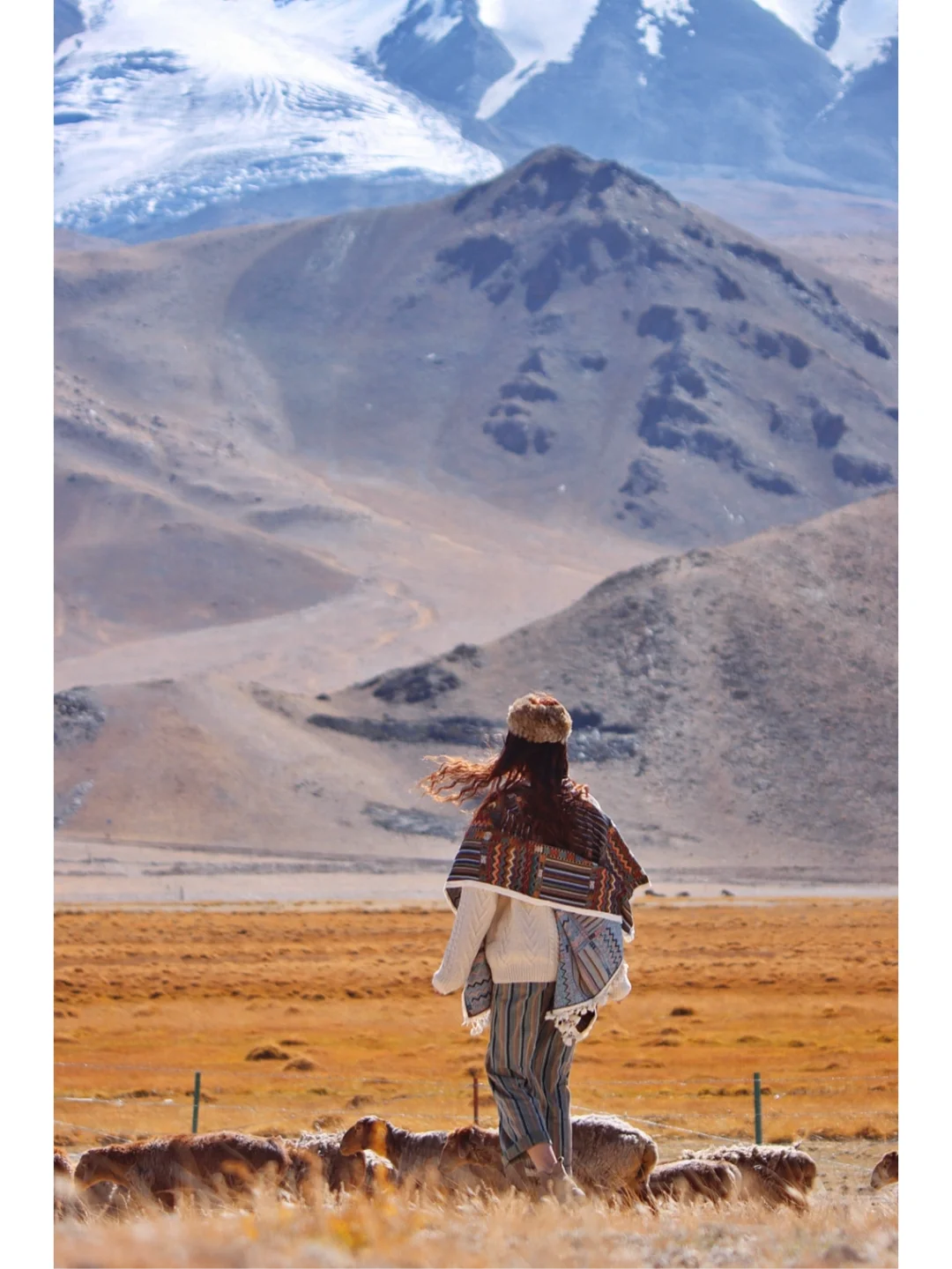 夏天还没过去 我已经开始想念新疆的秋天了