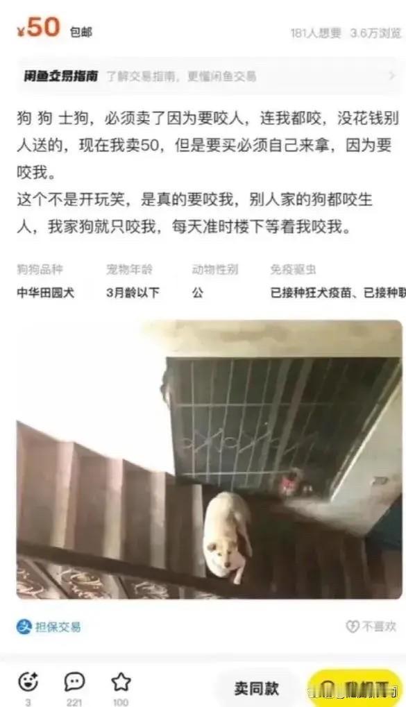 这狗主人是干了什么？笑死了[捂脸]