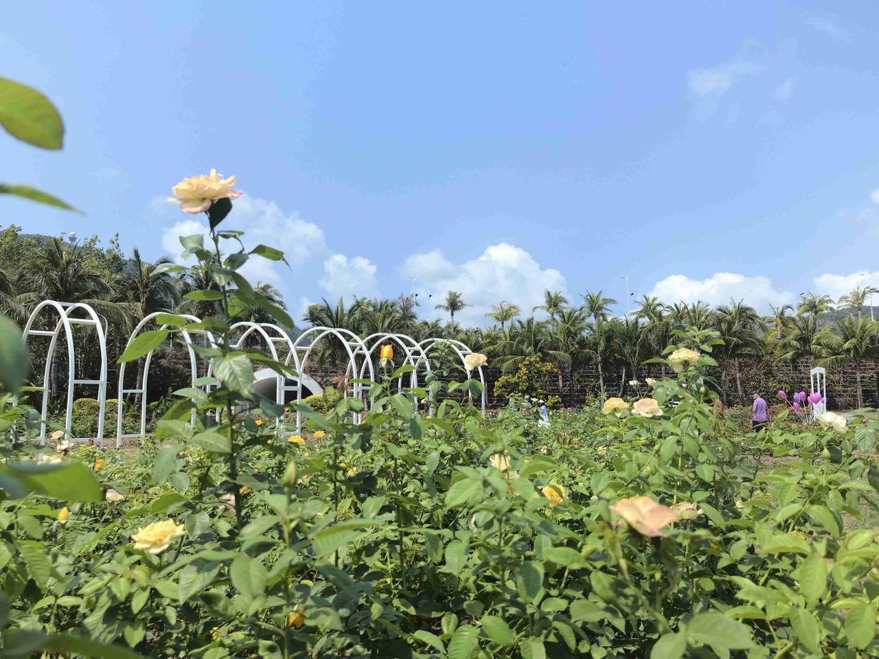 我的今日状态：😁轻松愉快
我这里的天气：☀️晴天