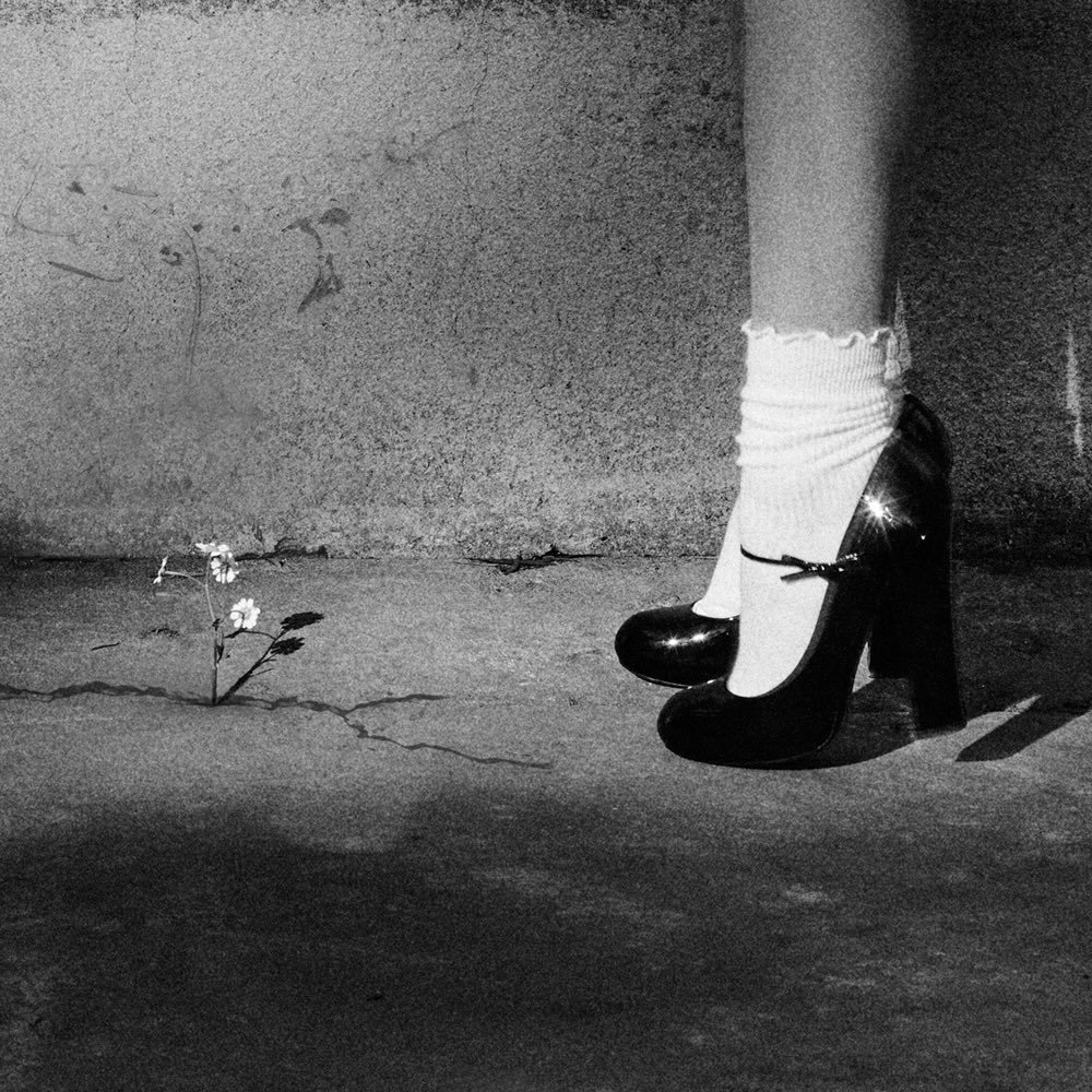 Ariana Grande 第八张录音室专辑『petal』概念宣传图： 