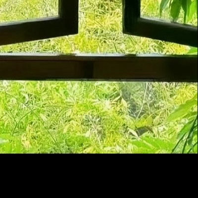 0000生活从不掩饰它的锋利棱角，而英雄主义就是在被划伤后，依然愿意用柔软的心去