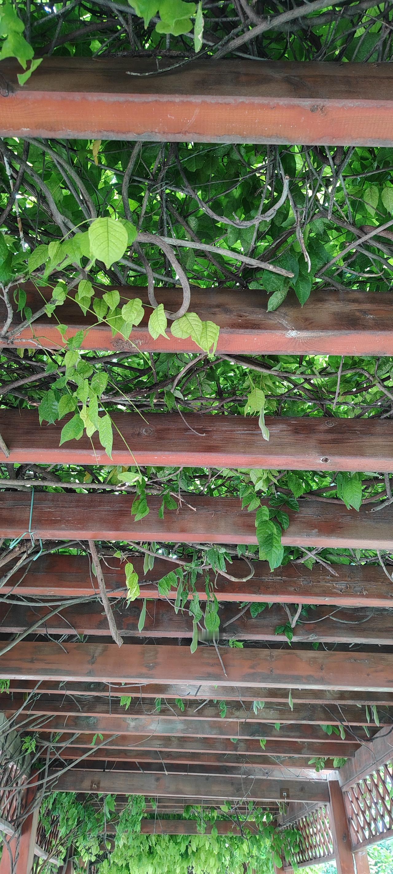人间烟火长