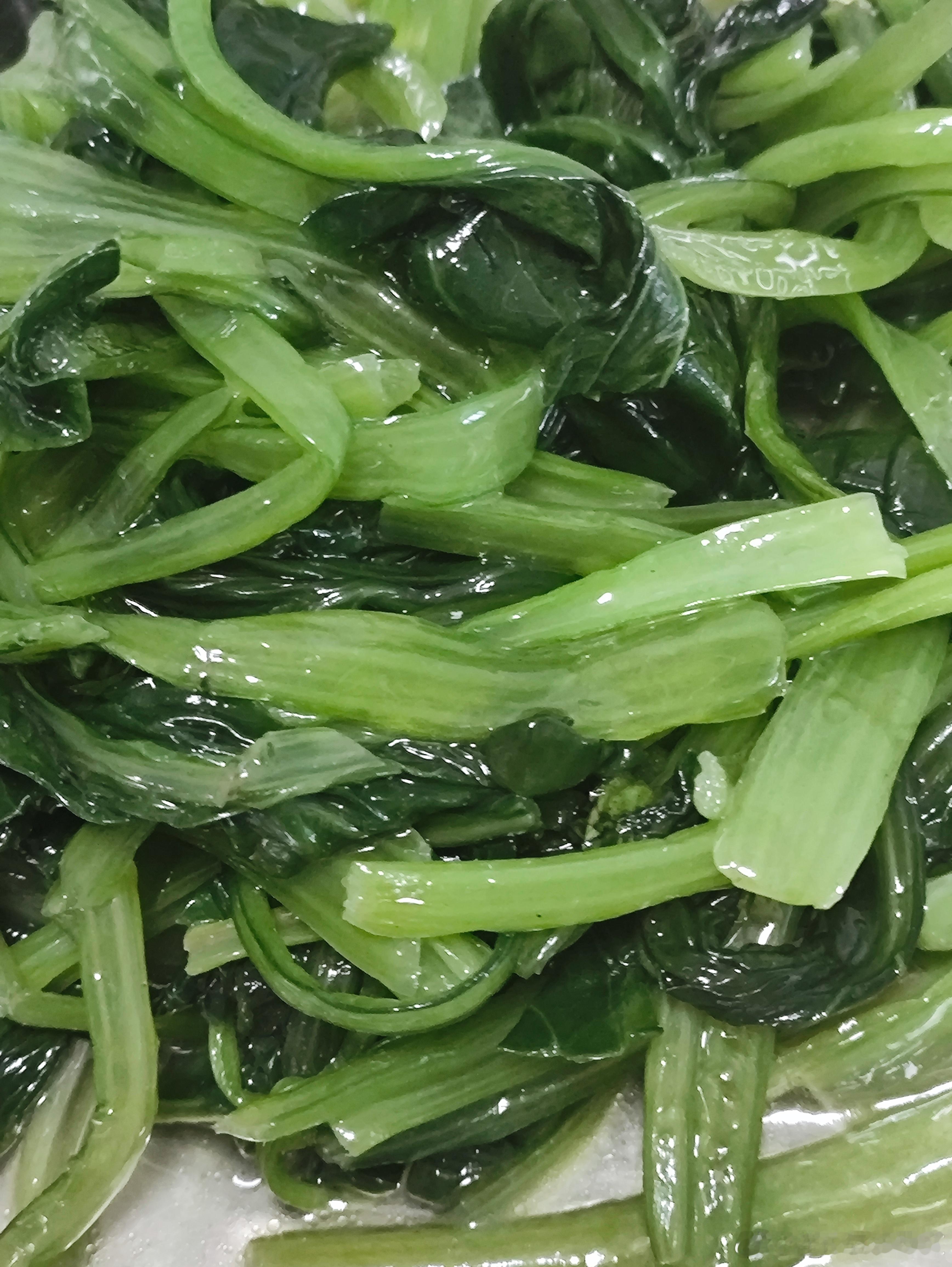 苍茫的天涯是我的爱，绵绵的青山脚下花正开！减肥吗！来我家。。。。青菜配苞米面粥～