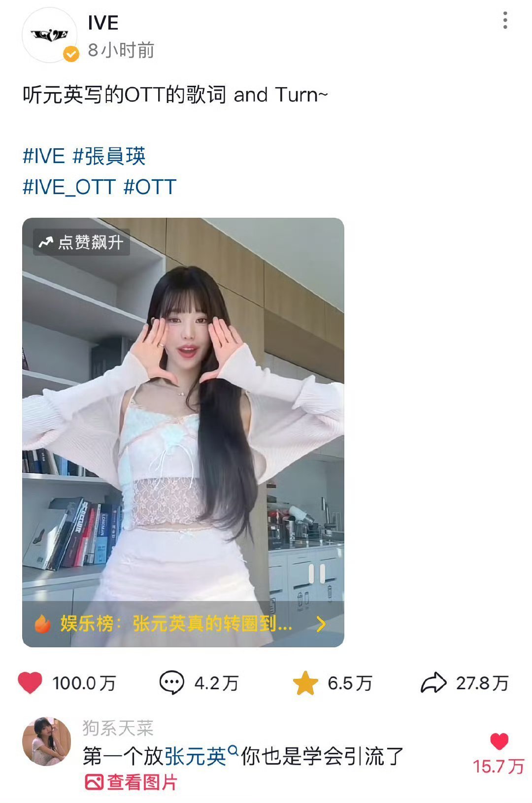 【张元英 】内核是她最珍贵的东西考古到p1关于VJ的采访翻译（原帖网页链接）发现
