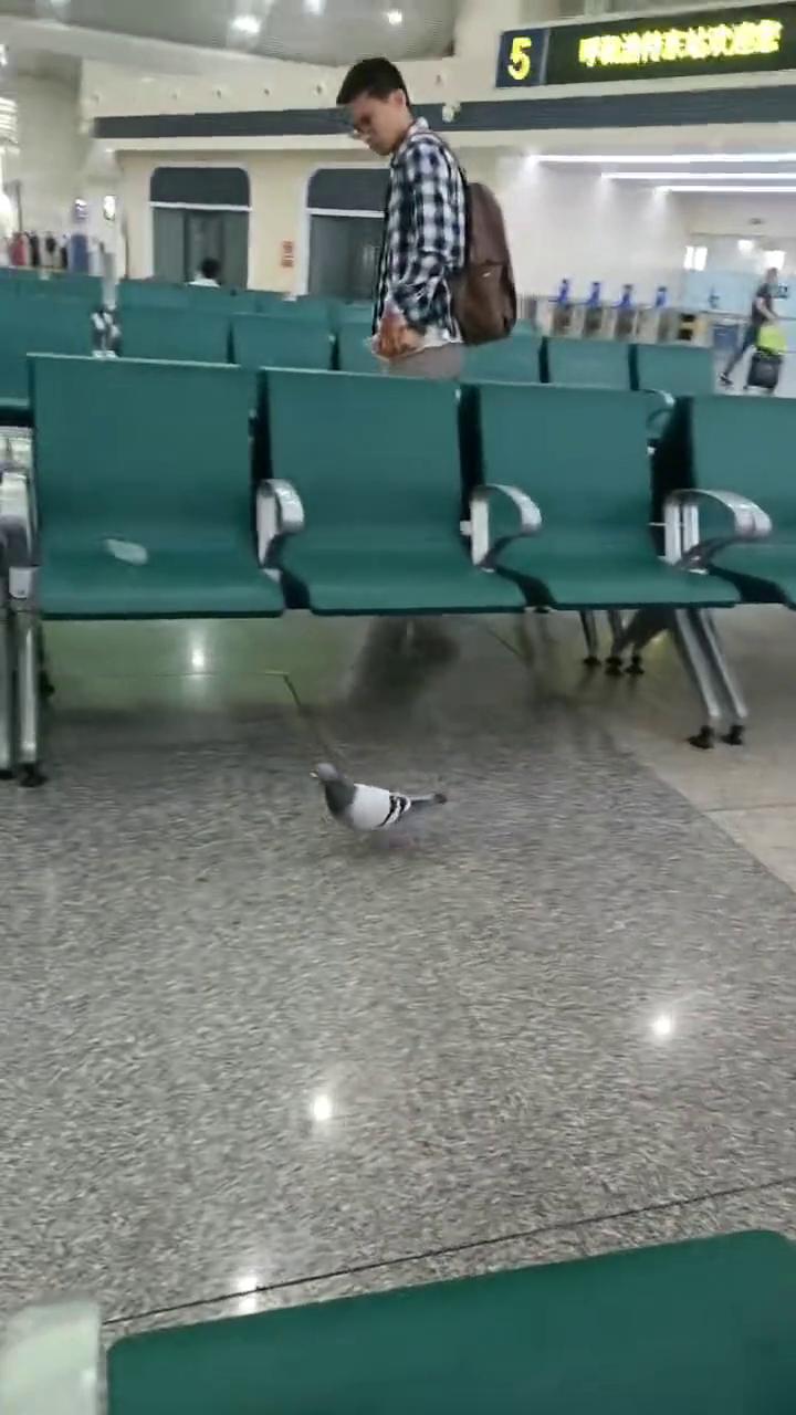 这还有。