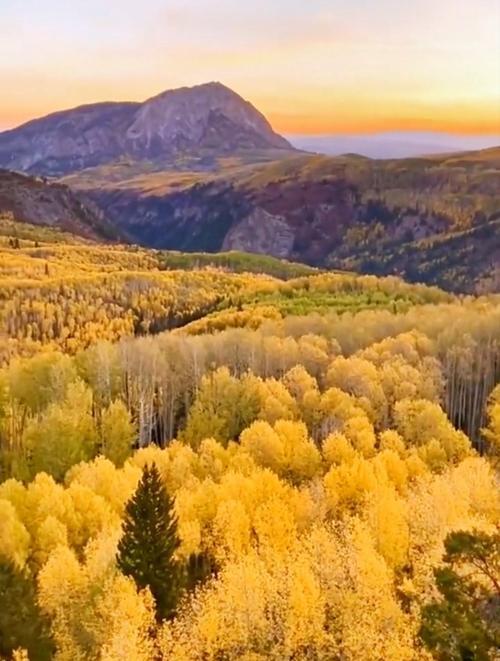 山山黄叶落秋意，诚邀下联谢邀
上联：山山黄叶落秋意，
下联：岭岭青峰染春光，
下