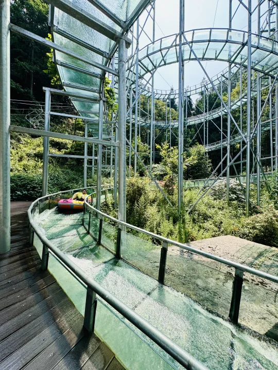 一站式避暑度假区🏖️海拔1400的高山林区🌳