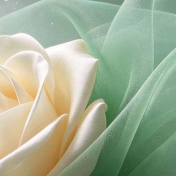 阳光信用 生活遍布猝不及防的坎坷，常怀善意与温热，缓步品味烟火，平淡日子自有温柔