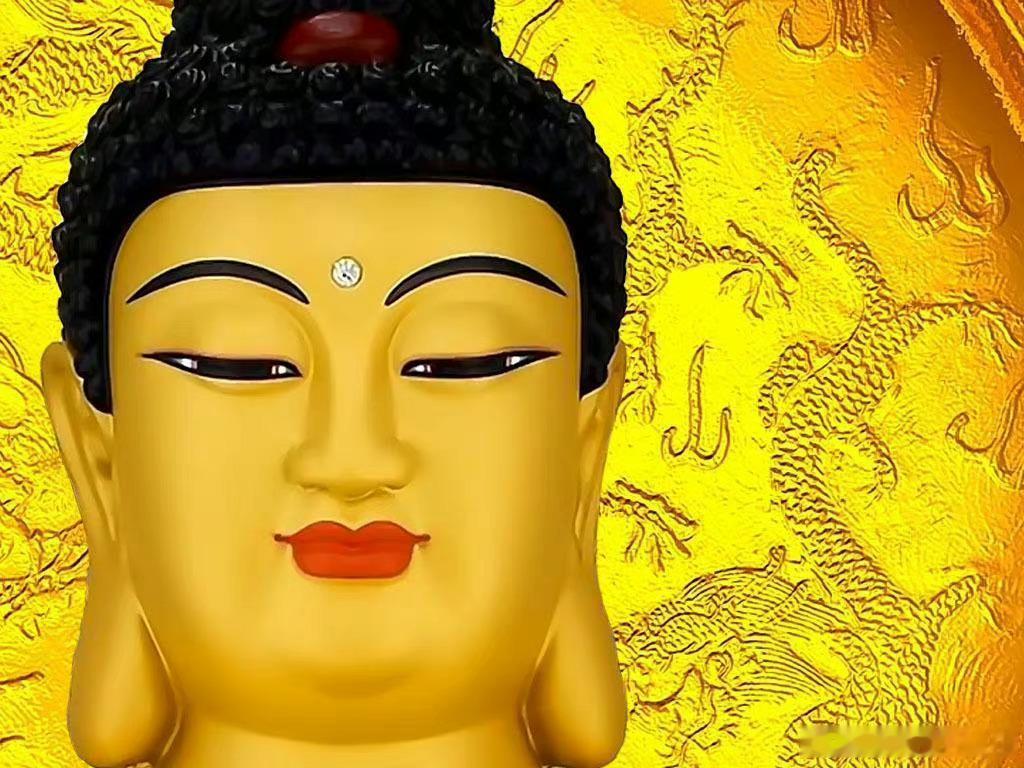 🙏🙏南无阿弥陀佛[鲜花][鲜花][鲜花]每天念一句，每天灭尽八亿四千劫罪业，