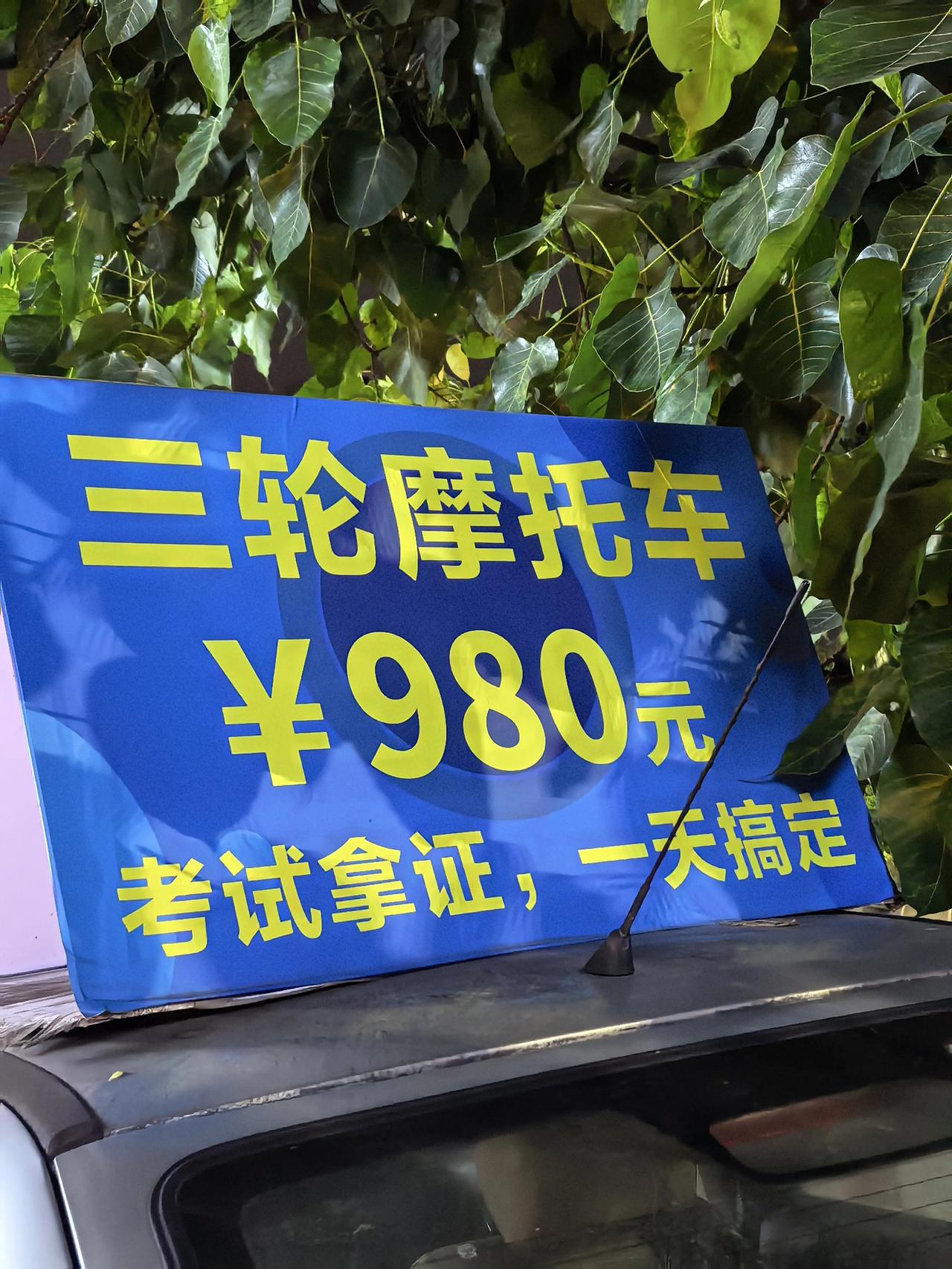 980块，一天解锁三轮D证，从此三蹦子自由，拉货兜风两不误，就是不知道能不能一路