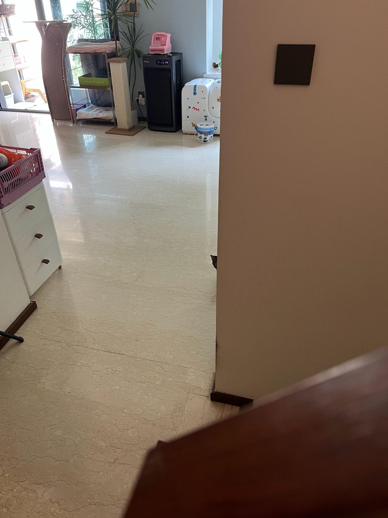 你躲在这里干嘛？想趁我不注意吓我一哆嗦吗？