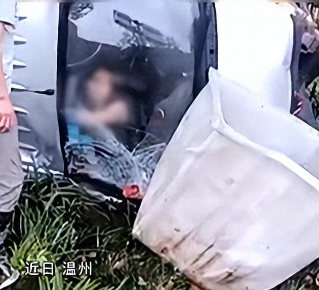 这件事发生在6月15日早上五点多，浙江温州瓯海大道上京隧道口。天刚亮，路上车不多