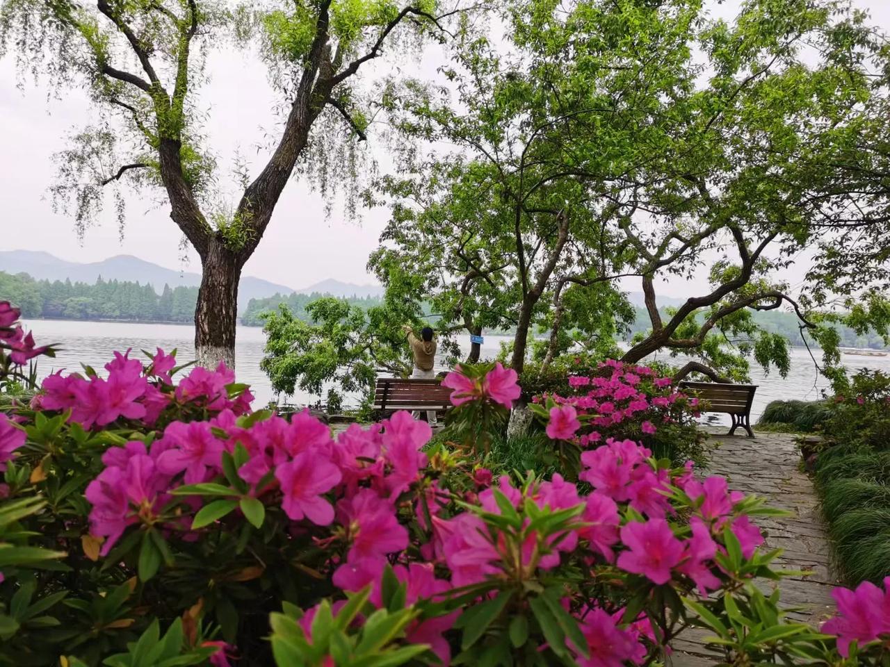 我在西湖，你在哪？