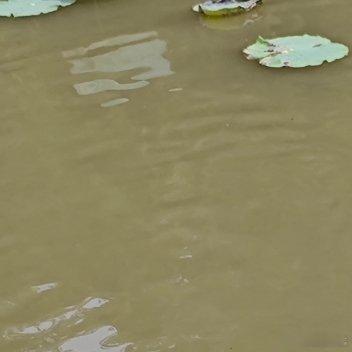 🌥 晨起，满格的开心如约而至。风里带着甜，云朵软绵绵的，仿佛整个世界都在悄悄酝