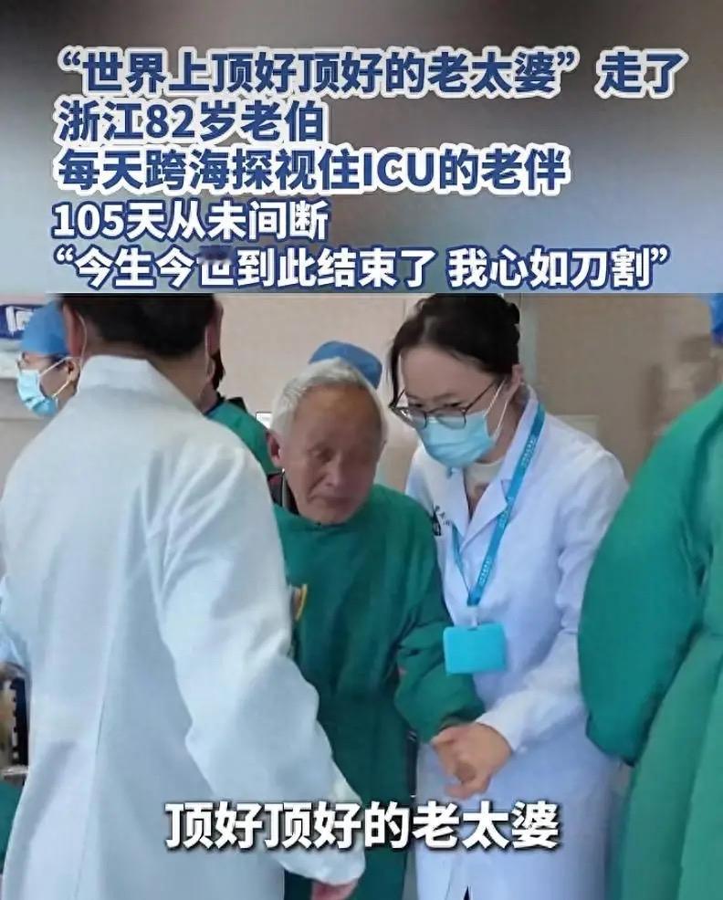 “世界上顶好顶好的老太婆”走了，82岁老伯105天跨城守护，看哭全网：这才是爱情