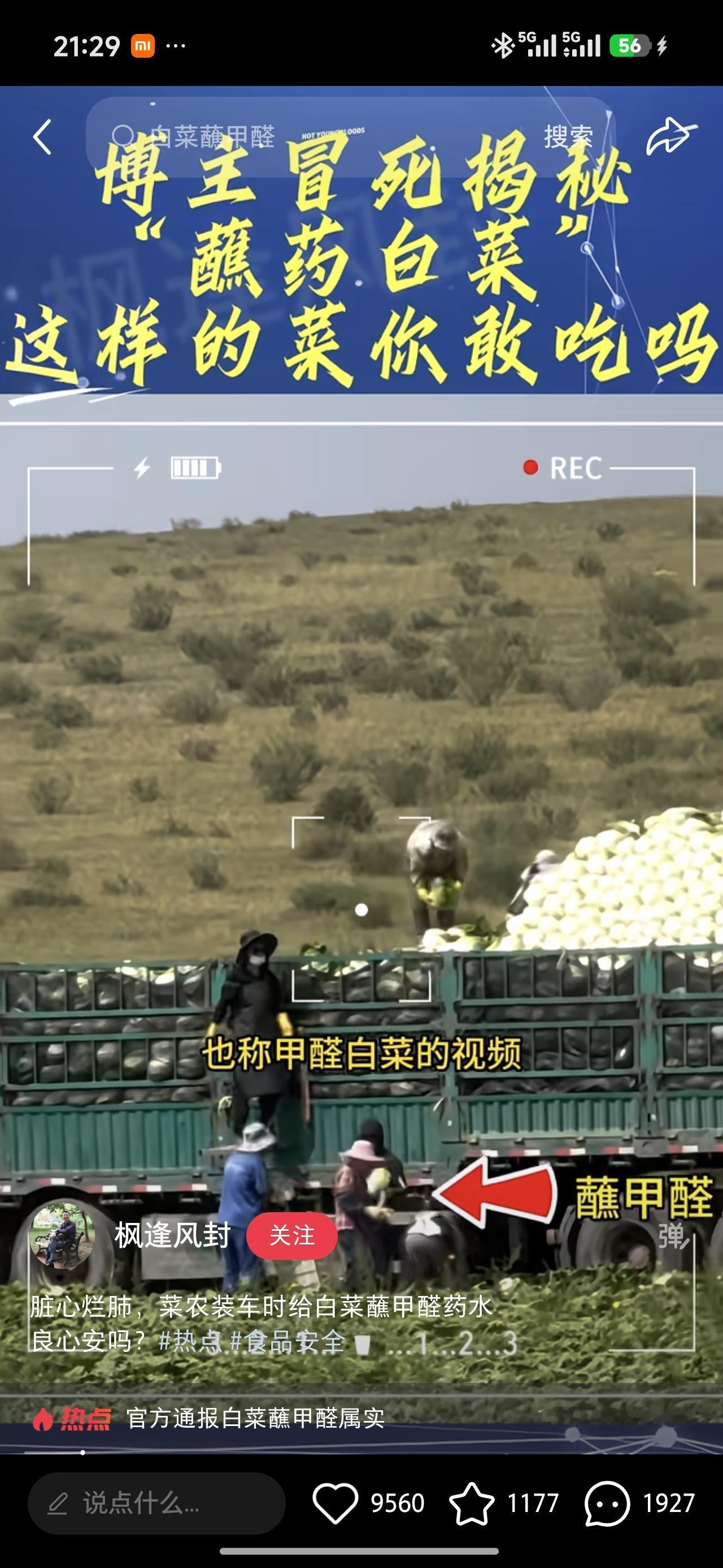 真的太坏了！良心大大滴坏了！

作为我们平时餐桌上常见的蔬菜，白菜受到很多人的喜