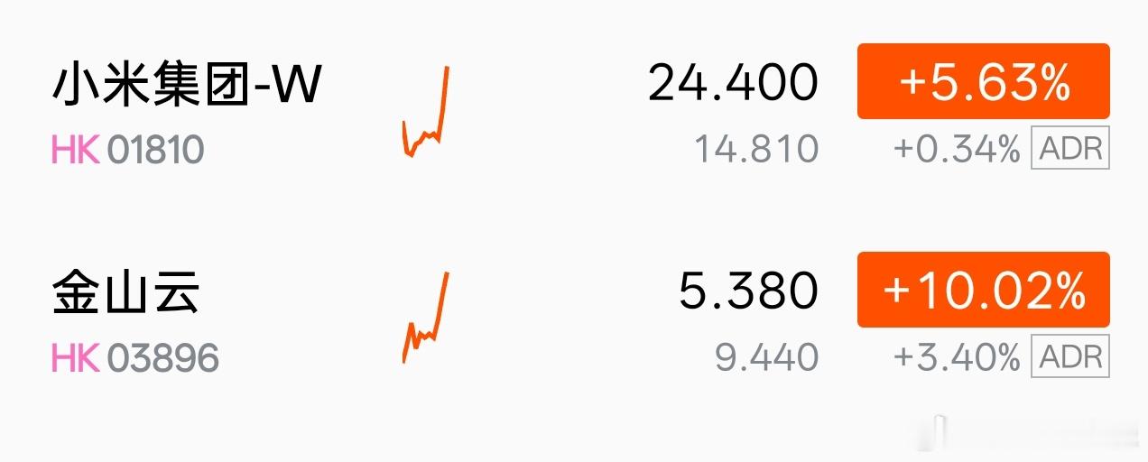 恒生科技突然暴涨，小米快涨到25了。 