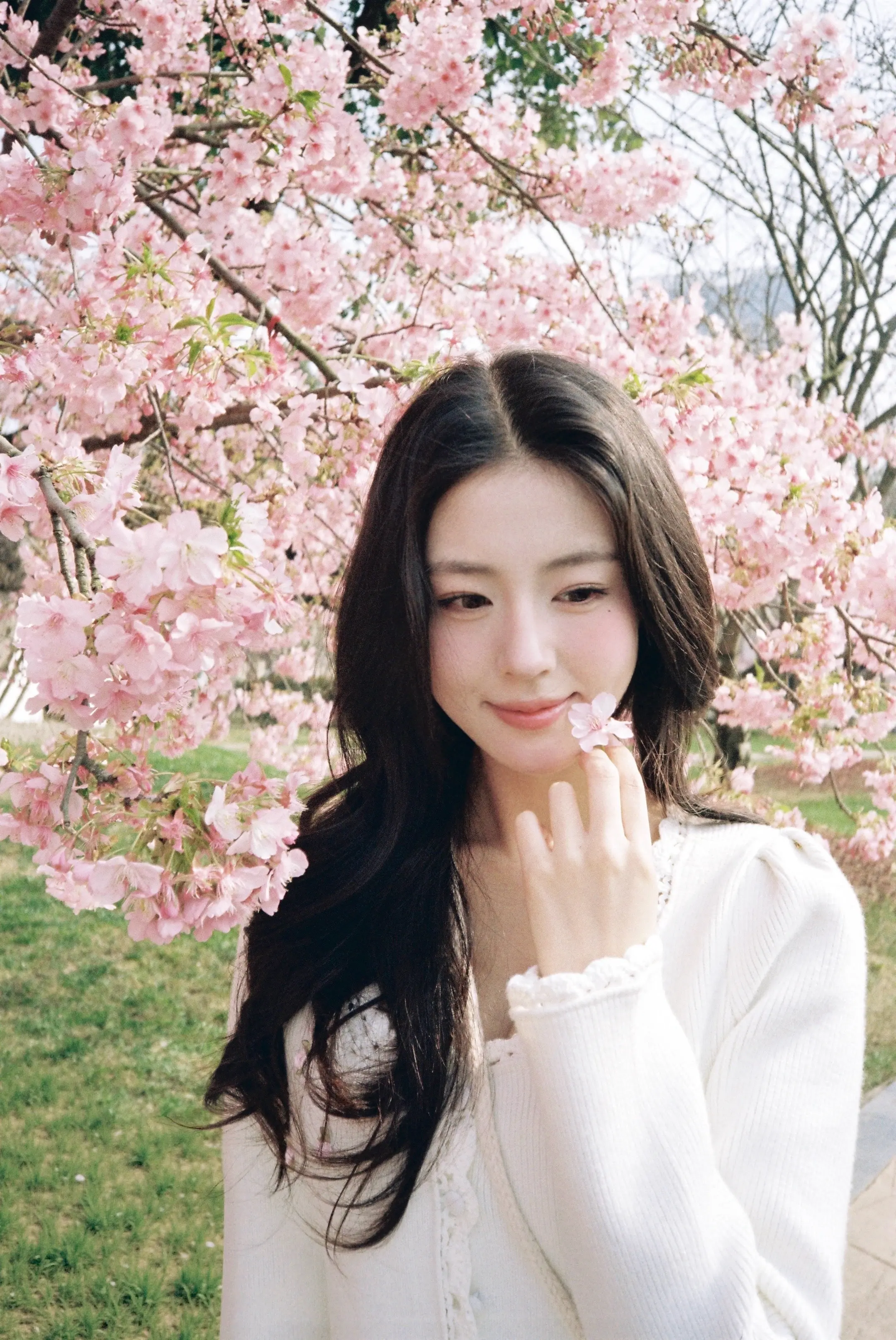 “仿佛你只须静静看我一眼 就能够解读我爱你这弱点” 我拍的